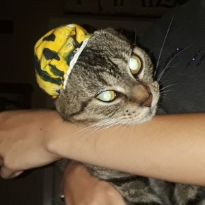 Meet your Posher, Macie